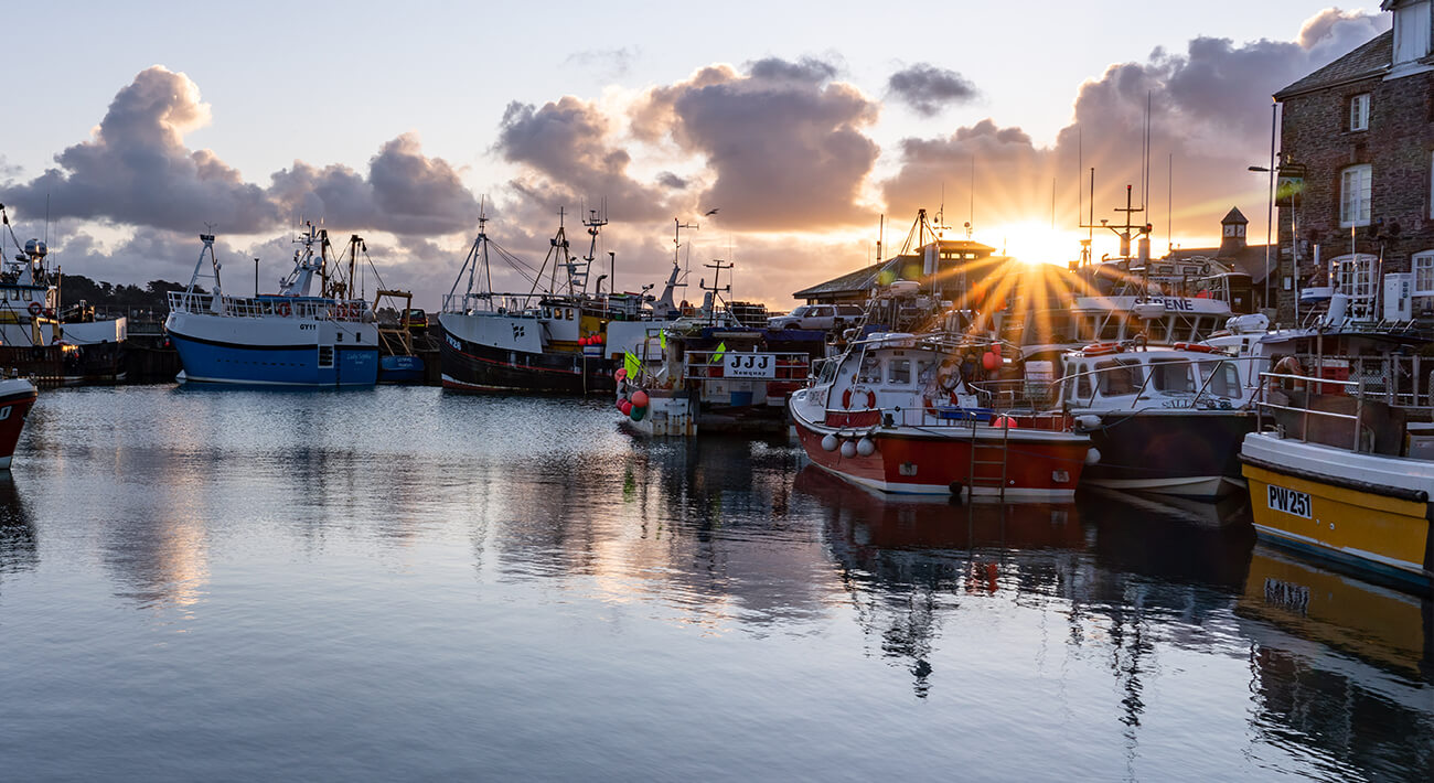 Boats in the harbour