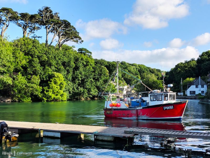 fishing trips helford river