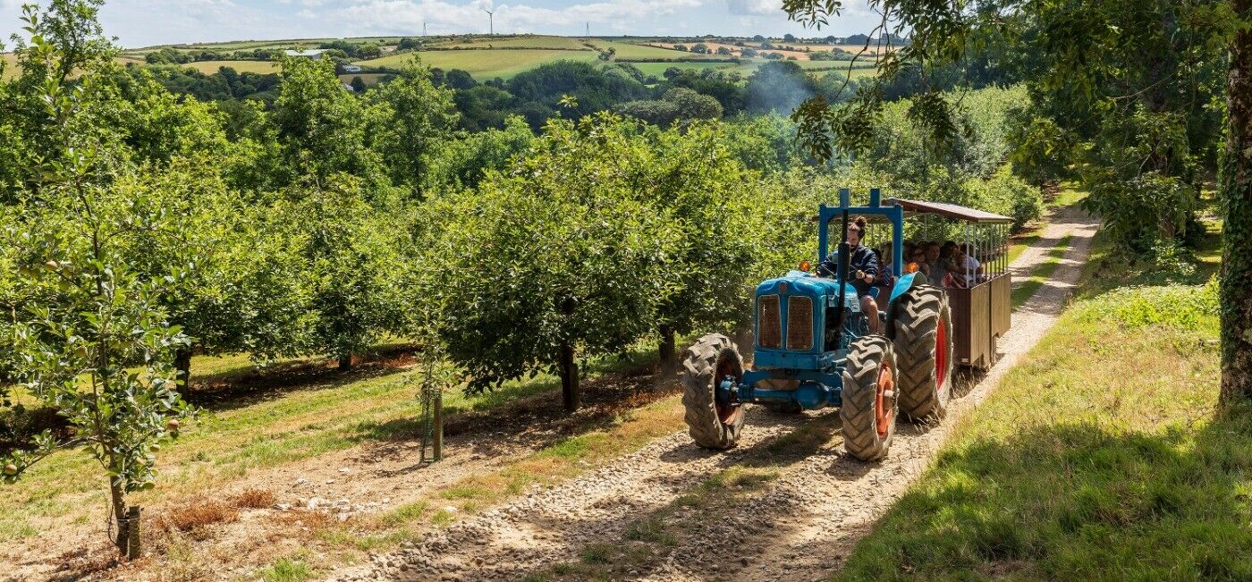Our Guide to the Best Shops in Padstow