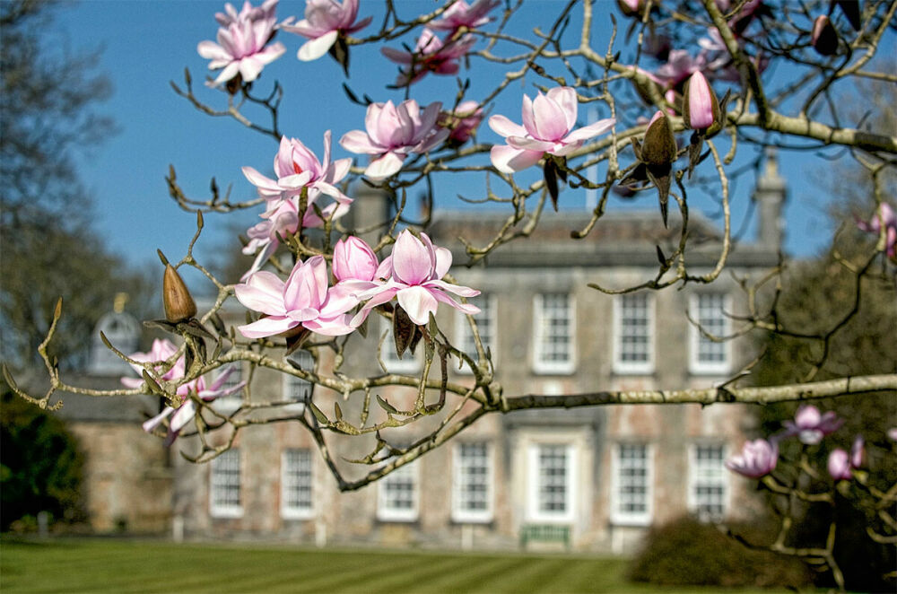 Coming Out of Hibernation. The 5 Best Places to Visit in Cornwall This Spring